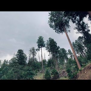 Meet your Posher, Nevaeh